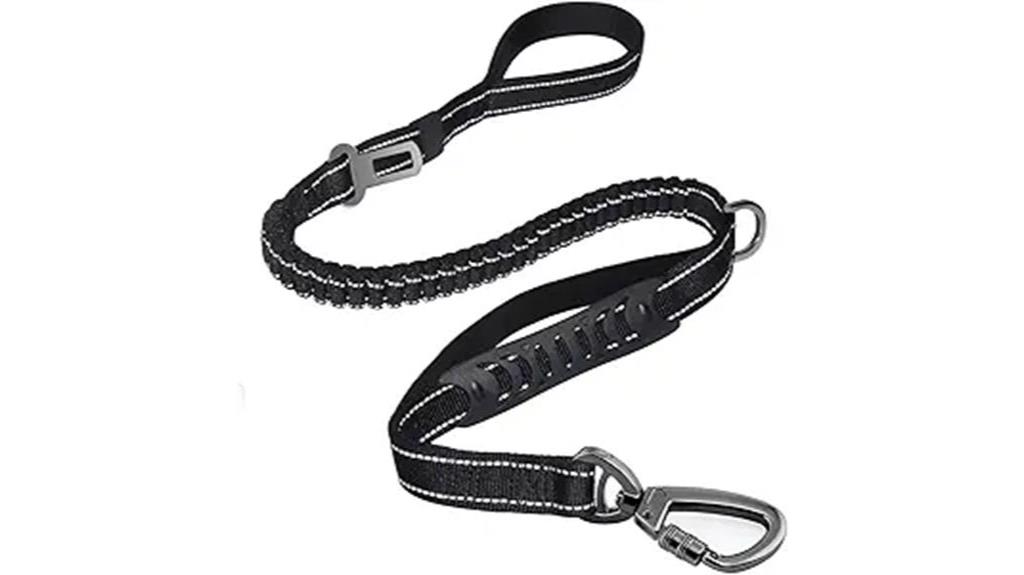 heavy duty dog leash