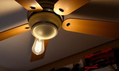 ceiling fan issues resolved