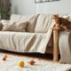 protect furniture from cats