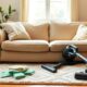 sofa cleaning step by step