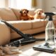 eliminate dog odor furniture