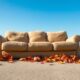 sofa disposal methods guide