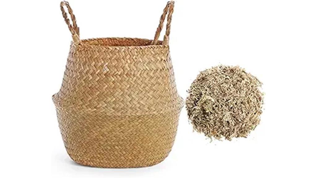 10 inch wicker plant basket