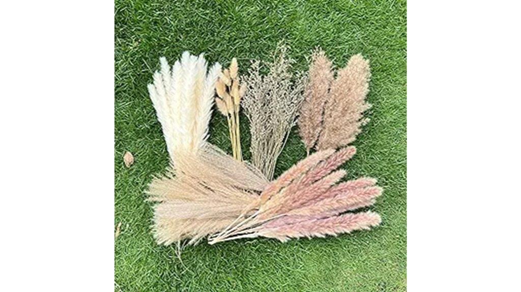 bulk pampas grass decor