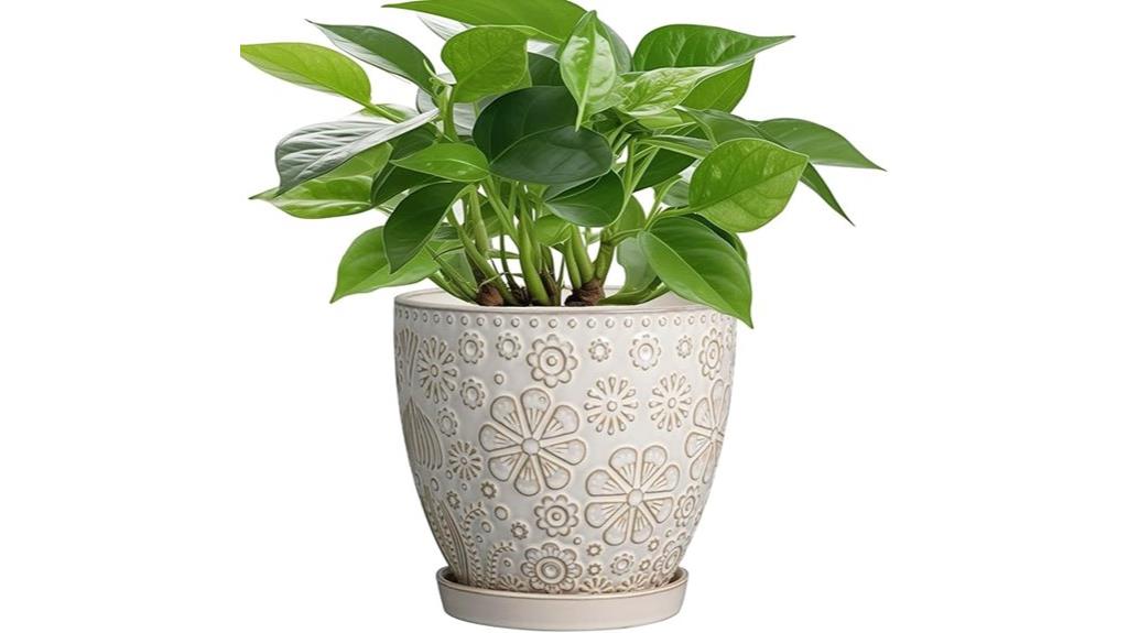 ceramic pot with drainage