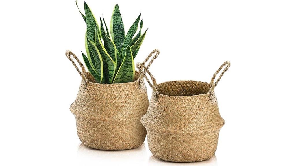 seagrass plant baskets handles