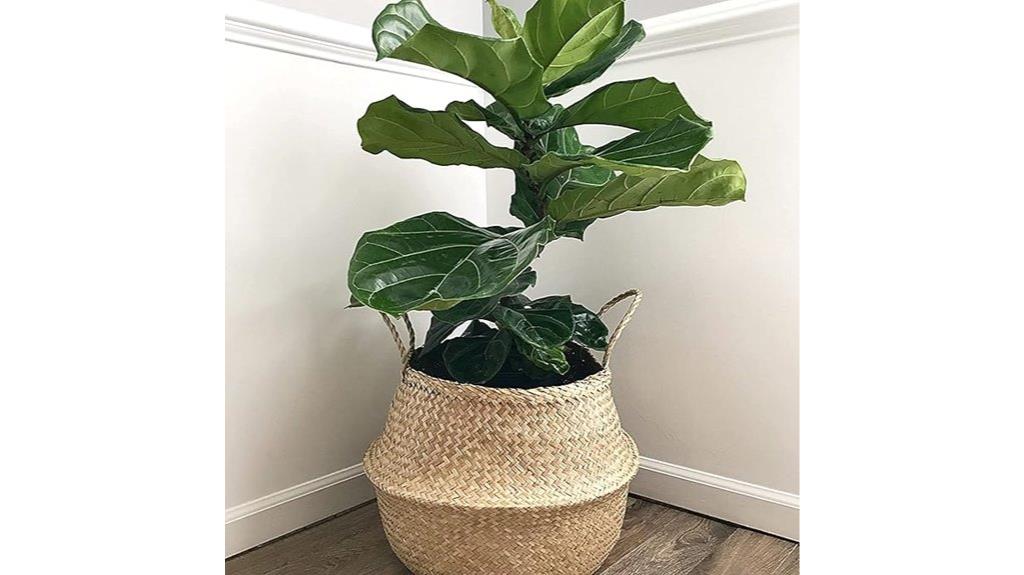seagrass storage decorative basket