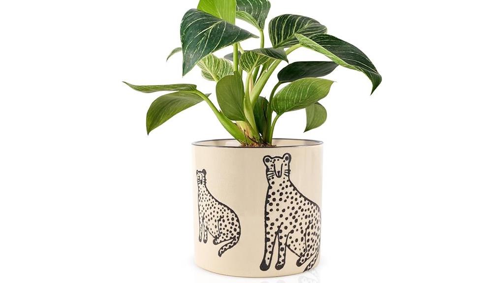 small ceramic indoor planters