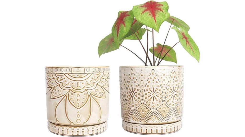 small indoor plant pots