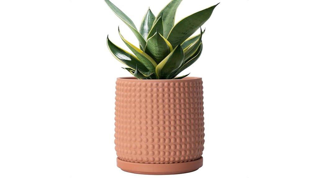 terracotta beaded plant pot