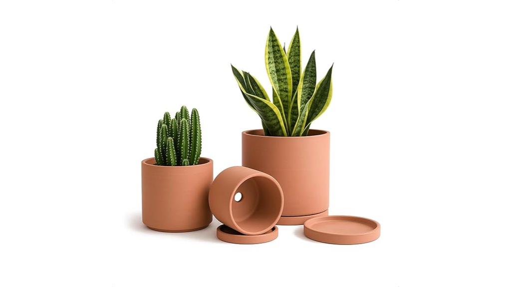 terracotta plant pots with drainage