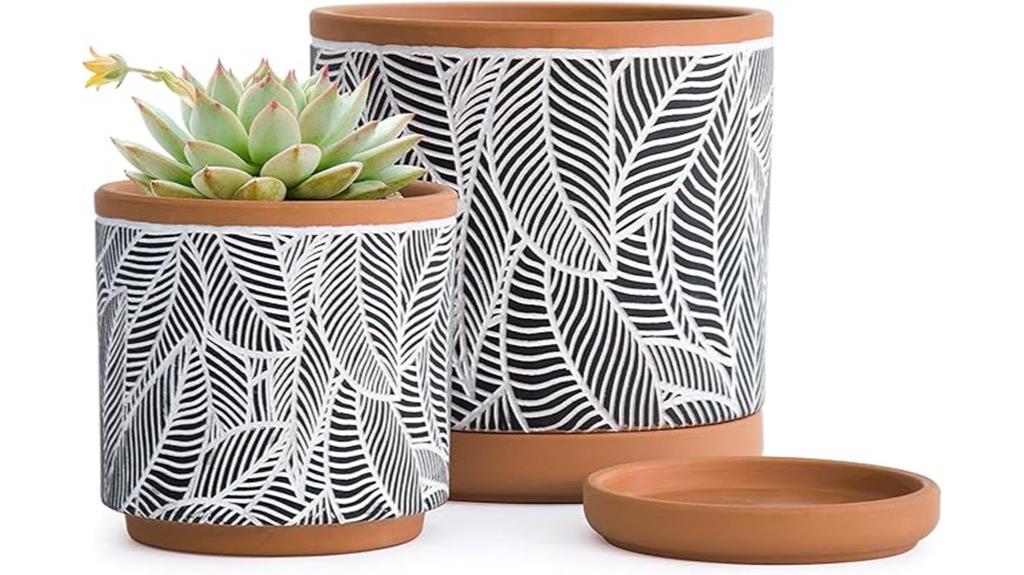terracotta pots with drains