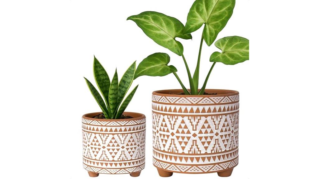 two terracotta plant pots