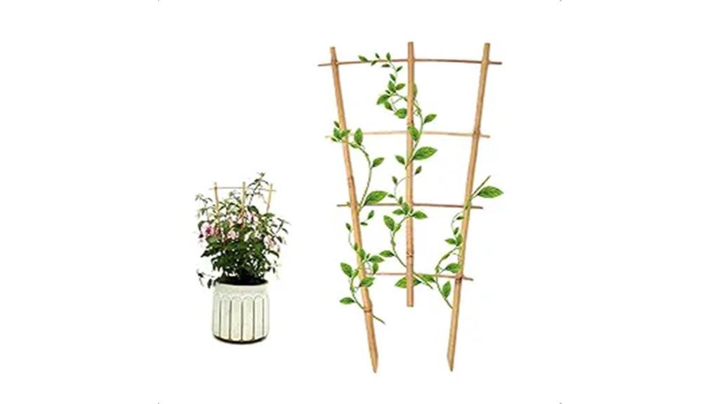 bamboo fan trellis set