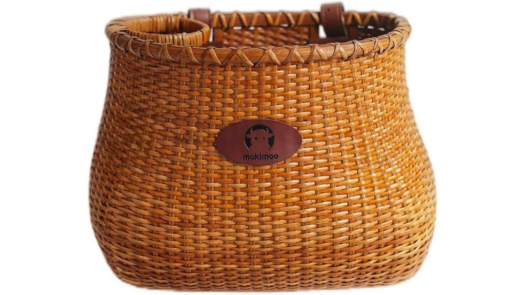 beach cruiser bike basket