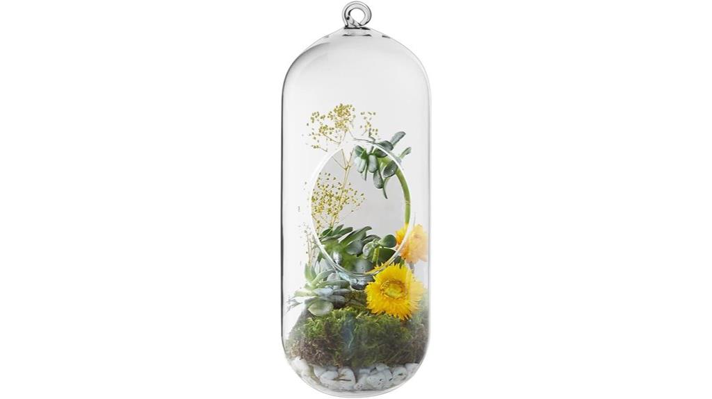 hanging glass terrarium globes