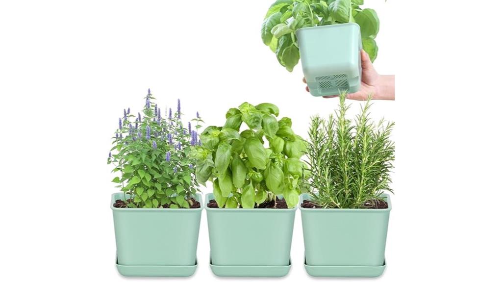 indoor herb planter kit