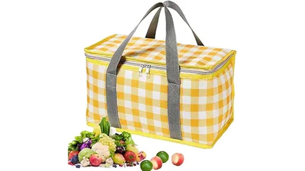 insulated picnic cooler bag