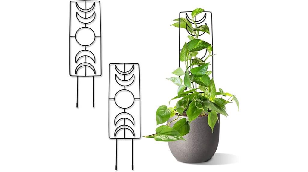 moon phase plant support