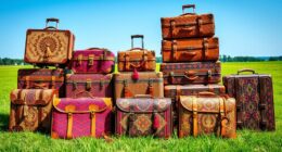 top boho travel luggage