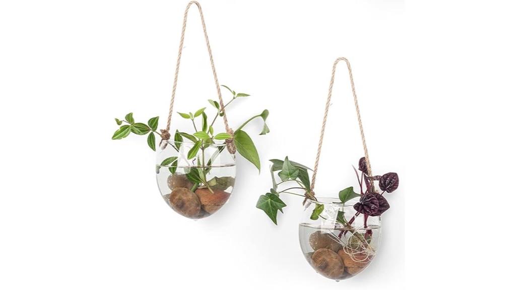 two glass plant terrariums
