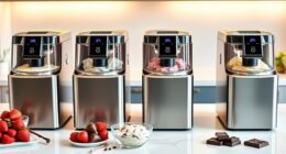 luxury home ice cream makers