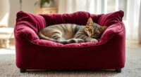 luxury orthopedic cat beds