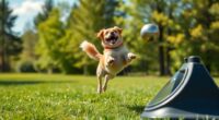 top dog ball launchers