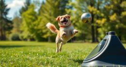 top dog ball launchers