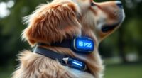 top gps dog collars