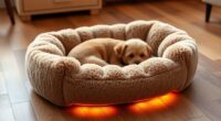 top heated pet bed picks