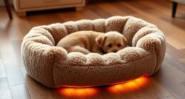 top heated pet bed picks