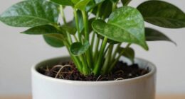 proper pot size planning