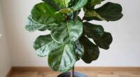 top artificial fiddle leaf fig