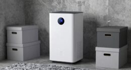 top basement dehumidifier picks