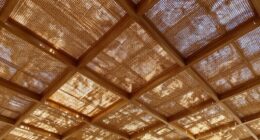 elevated ceiling design features