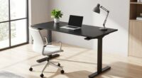 stylish ergonomic workspace solutions