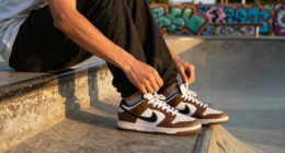 10 Best Nike Dunk Skate Shoes in 2026