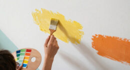 11 Best Interior Paints in 2026