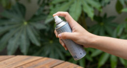 11 Best Mosquito Repellents in 2026