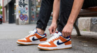 13 Best Nike SB Dunk Low Sneakers in 2026