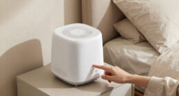 14 Best White Noise Machines in 2026