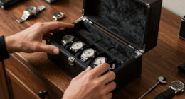 15 Best Watch Winders in 2026