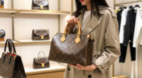 6 Best Louis Vuitton Handbags in 2026