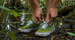 Vans’ Mossy Authentic Sneaker Shines From The Swamp