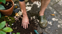 15 Best Outdoor Clogs for Garden Work and Everyday Wear in 2027