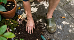 15 Best Outdoor Clogs for Garden Work and Everyday Wear in 2027