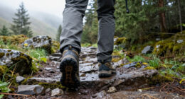15 Best Salomon Shoes in 2027