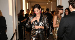 All The VS Fashion Show After-Party Outfits You Haven't Seen