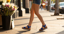 Birkenstock Papillio Women's Arizona Platform Sandals: A Blue Pair For $45.85